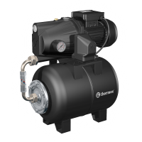 Насосная станция THERMEX Sirius 60B cooper